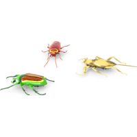 Hexbug Real Bugs 3 Pack 3