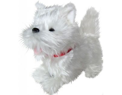 HM Studio Chodící pejsek Westie
