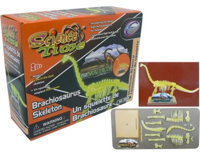 HM Studio Kostra brachiosaurus