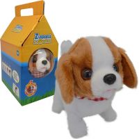 HM Studio Pejsek Teri