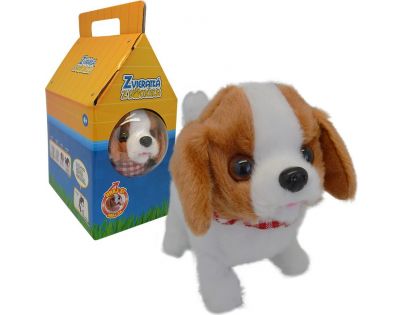 HM Studio Pejsek Teri