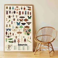 Poppik Samolepkový plakát vzdělávací Hmyz 2