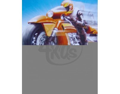 HW Závodní motorky
