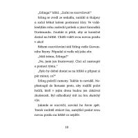 Hvězdy fotbalového hřiště - Haaland 3