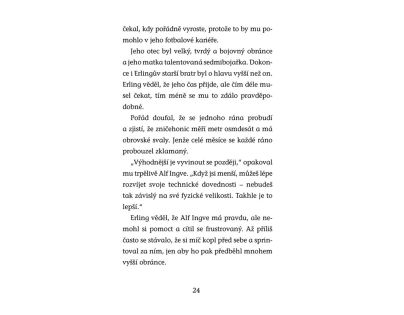 Hvězdy fotbalového hřiště - Haaland