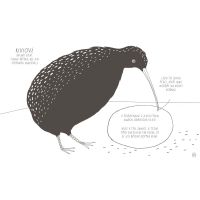 Albatros Ilustrovaný atlas neuvěřitelných faktů o zvířatech 3