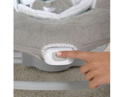 Ingenuity Houpačka velká s kolotočem a adaptérem Pemberton™ 2v1 do 9 kg