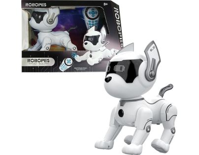 IR Robopes Junior