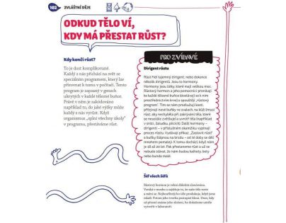 Bookmedia Jak funguje lidské tělo
