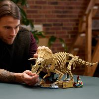 LEGO® Jurassic World 77985 Dinosauří fosilie: Triceratops 4