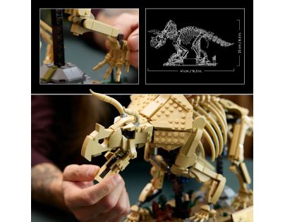 LEGO® Jurassic World 77985 Dinosauří fosilie: Triceratops