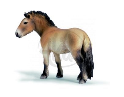 Schleich 13620 - Zvířátko - kůň Przewalského
