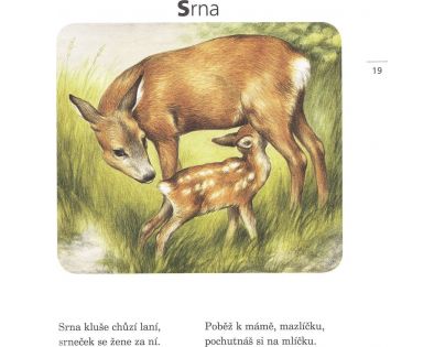 Fragment Kamarádi zvířátka