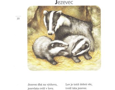 Fragment Kamarádi zvířátka