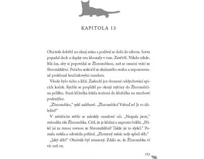 Albatros Kočičí válečníci Vzhůru do divočiny Erin Hunterová