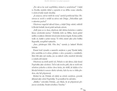 Albatros Kočičí válečníci Les plný tajemství Erin Hunterová