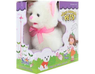 Kočka s mašlí na tlesknutí