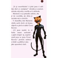 Kouzelná Beruška a Černý Kocour: Zlolustrátor 5