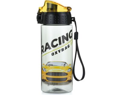Karton P+P Láhev na pití 500 ml Tritan auto