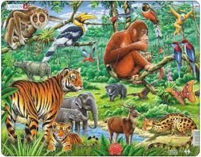 Larsen Puzzle Džungle
