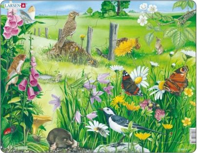 Larsen Puzzle Louka