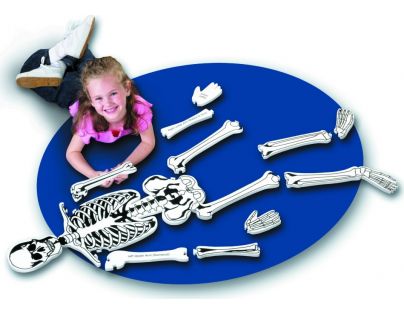 Learning resources Puzzle pěnové Kostra 15 dílků - Poškozený obal