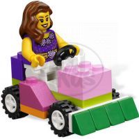 LEGO Kostičky 4625 Růžový box s kostkami 4