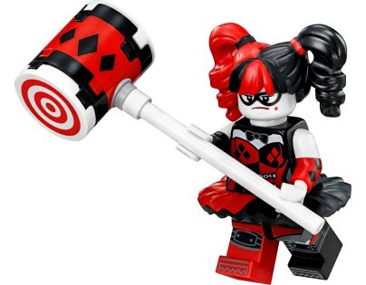 LEGO Batman 70916 Batmanovo letadlo