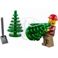 LEGO City 60059 - Dřevorubecké auto 5