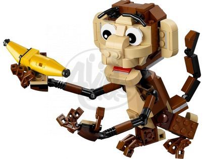 LEGO Creator 31019 - Zvířátka z džungle
