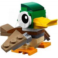 LEGO Creator 31044 Zvířátka z parku 4