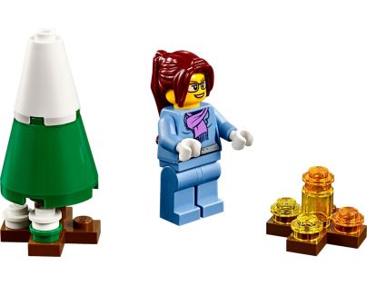 LEGO Creator 31080 Zimní prázdniny