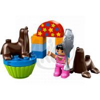 LEGO DUPLO 10503 Cirkusové představení 2