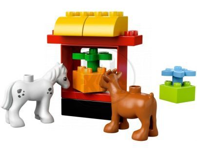 LEGO DUPLO 10517 - Moje první zahrada