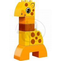 LEGO DUPLO Kostičky 10573 - Postav si zvířátka 6