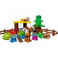 DUPLO LEGO Ville 10582 - Lesní zvířátka 2