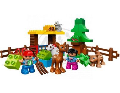 DUPLO LEGO Ville 10582 - Lesní zvířátka