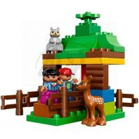 DUPLO LEGO Ville 10582 - Lesní zvířátka 3