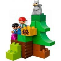 DUPLO LEGO Ville 10582 - Lesní zvířátka 4