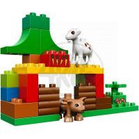 DUPLO LEGO Ville 10582 - Lesní zvířátka 5