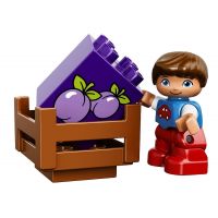 LEGO DUPLO Toddler 10615 - Můj první traktor 4