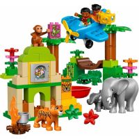 LEGO DUPLO 10804 Džungle 2