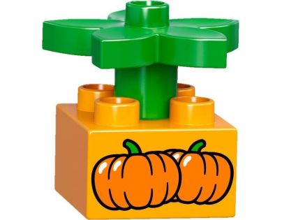 LEGO DUPLO 10810 Vláček - Poškozený obal