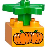 LEGO DUPLO 10810 Vláček 6