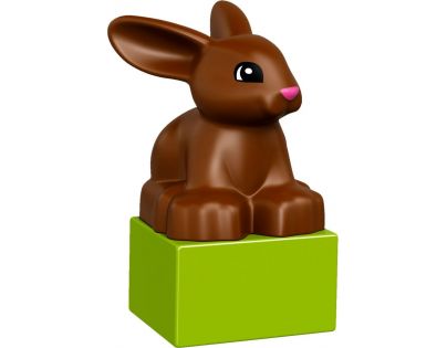 LEGO DUPLO 10838 Domácí mazlíčci