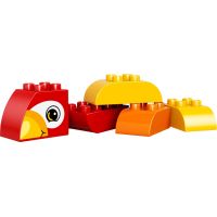 LEGO DUPLO 10852 Můj první papoušek 3