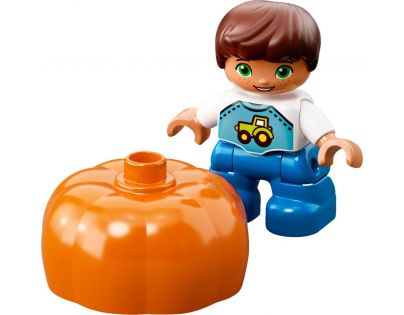 LEGO DUPLO 10867 Farmářský trh