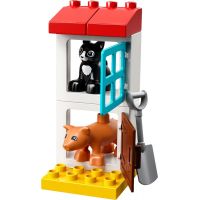LEGO DUPLO 10870 Zvířátka z farmy - Poškozený obal 4