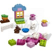 LEGO DUPLO 4623 Růžový box s kostkami 2