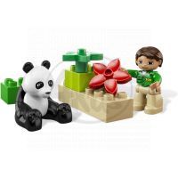 LEGO DUPLO 6173 Panda 3